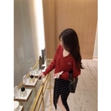 Атмосфера красоты Джилл Большой сестры/прозрачная внутри/Средняя вязаная рубашка/