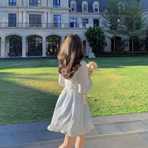 Floral dress 2021 early autumn temperament French gentle V collar waist long sleeve small man short a chiffon skirt