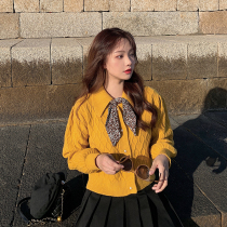 Yellow sweater women 2021 new autumn retro Japanese lazy Loose Doll collar small man short coat winter
