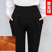 Người mẫu mùa thu đông cộng với quần nhung harem dày nữ size lớn quần âu cạp cao là quần lửng nữ ấm áp chân quần mùa đông