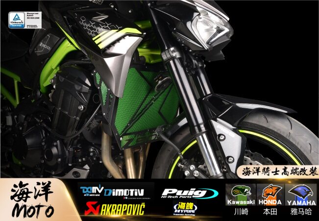 German DMV water tank protective net applicable Kawasaki KAWASAKI new Z900 20 styled water tank guard net