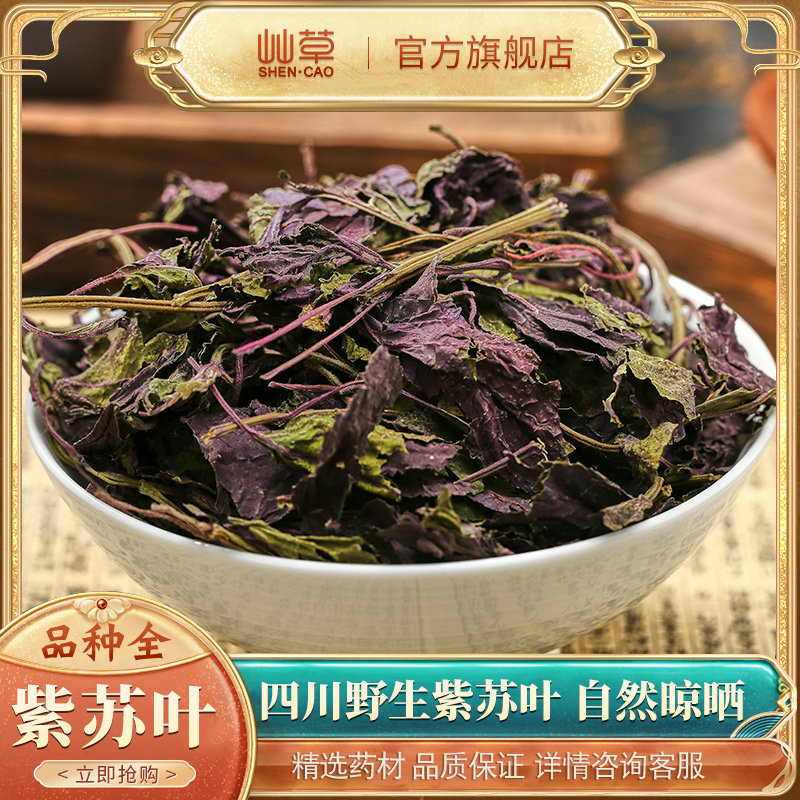 The 50 grams of Chinese medicine of purple leaf foam and soda bubble tea and bubble wild su leaf fresh
