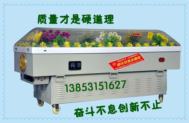 Limited-time special offer ice coffin refrigerated coffin crystal coffin frozen coffin funeral equipment corpse refrigerated cabinet ice coffin