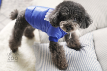 Autumn Winter Pooch Clothing Cotton Clothing Mini Dog Teddy Bib Bear Kirky Chereina Pet Thickened Warm Cotton Clothes