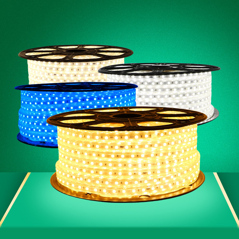 NVC LED light with neon patch highlight living room ceiling 220V waterproof line light strip 3528 5050 dimming