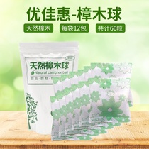 Household natural mothballs moisture-proof sanitary ball Moth-proof egg wardrobe mildew-proof insect-proof pill Aromatic de-flavored camphor wood ball