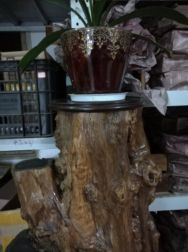 Trẻ mồ côi, gỗ đàn hương tím, chạm khắc gỗ gốc, phòng khách, trang trí văn phòng, gỗ đàn hương đen, kệ gỗ cây cảnh - Các món ăn khao khát gốc bàn ghế gốc cây đẹp nhất