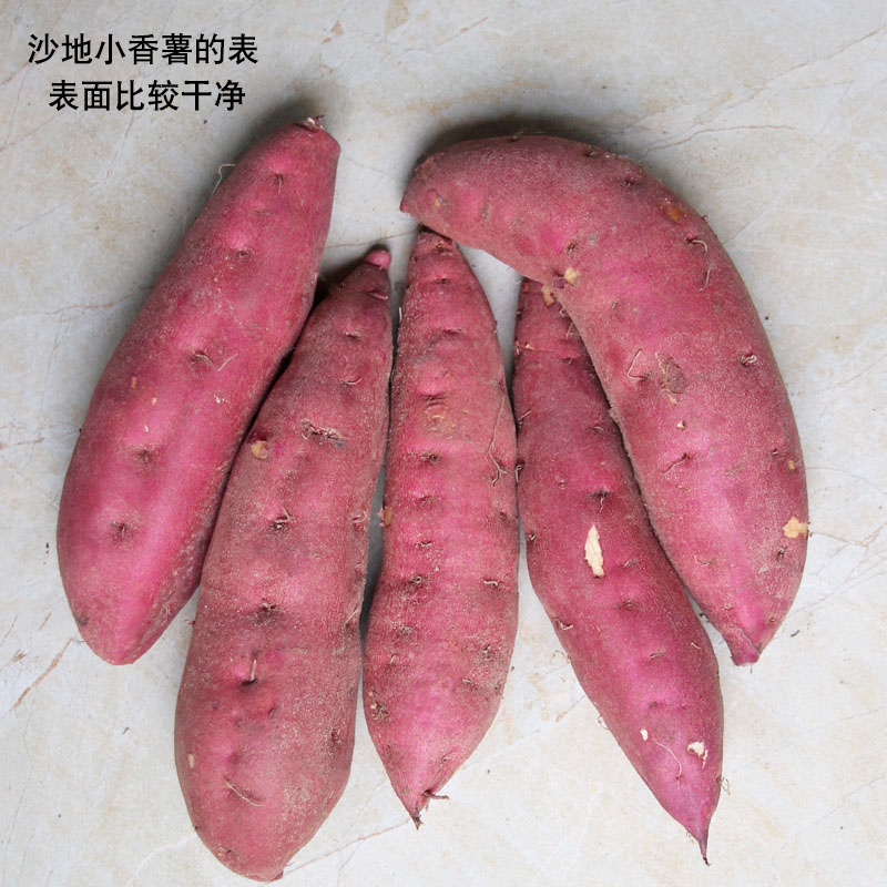 临安人卖土特产的LOGO
