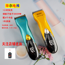  New product WAHL WAHL electric push clipper 2232 electric fader hair clipper Household hair volume light head electric push clipper