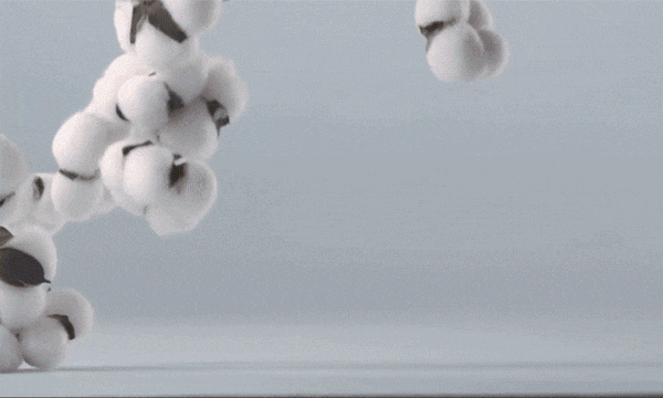 详情-05.1.gif
