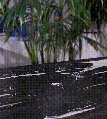 10.gif