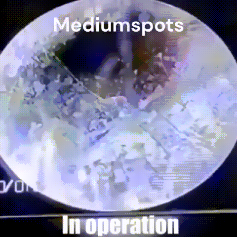 18.gif