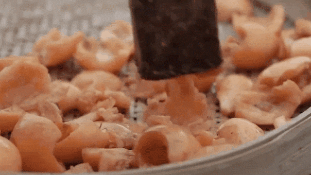 5.gif