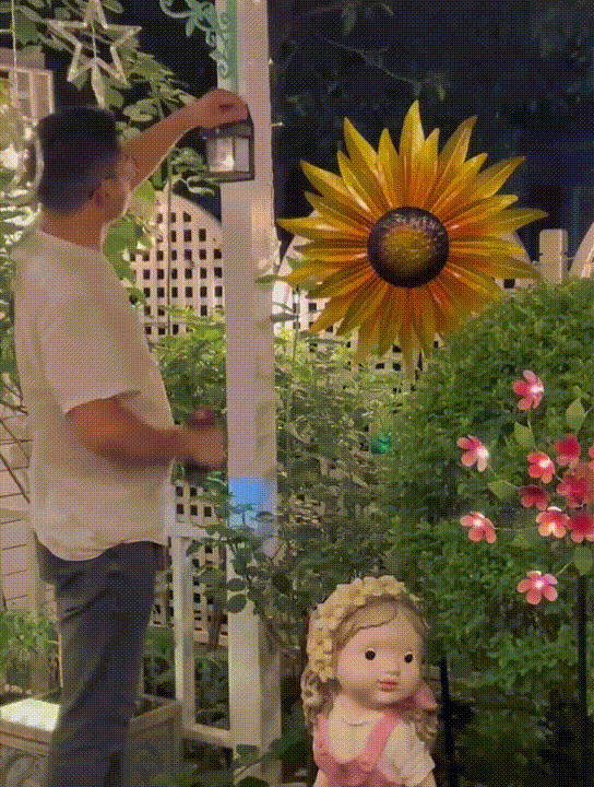20250709_111400_003.gif