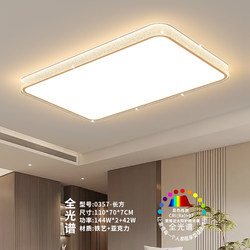 French-Style Mid-Century Living Room Ceiling Light, New High-End Minimalist Full-Spectrum Designer Light, Luxury Eye-Protection Master Bedroom Light