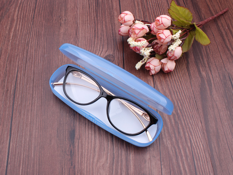 Etui à lunettes - Ref 1249494 Image 38