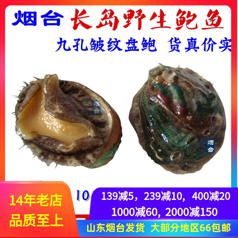 Ready-to-eat Abalone High Pressure Frozen 50g Tobacco table 9-hole disc Bao 10 Only cooked abalone shellfish Mountain Alliance Sea City