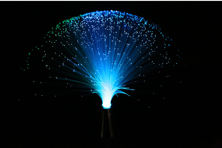 Fiber Optic Light 12