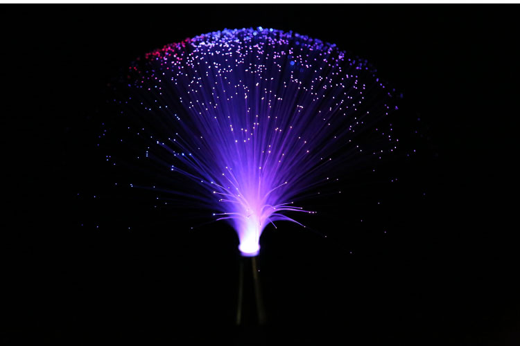 Fiber Optic Light 11