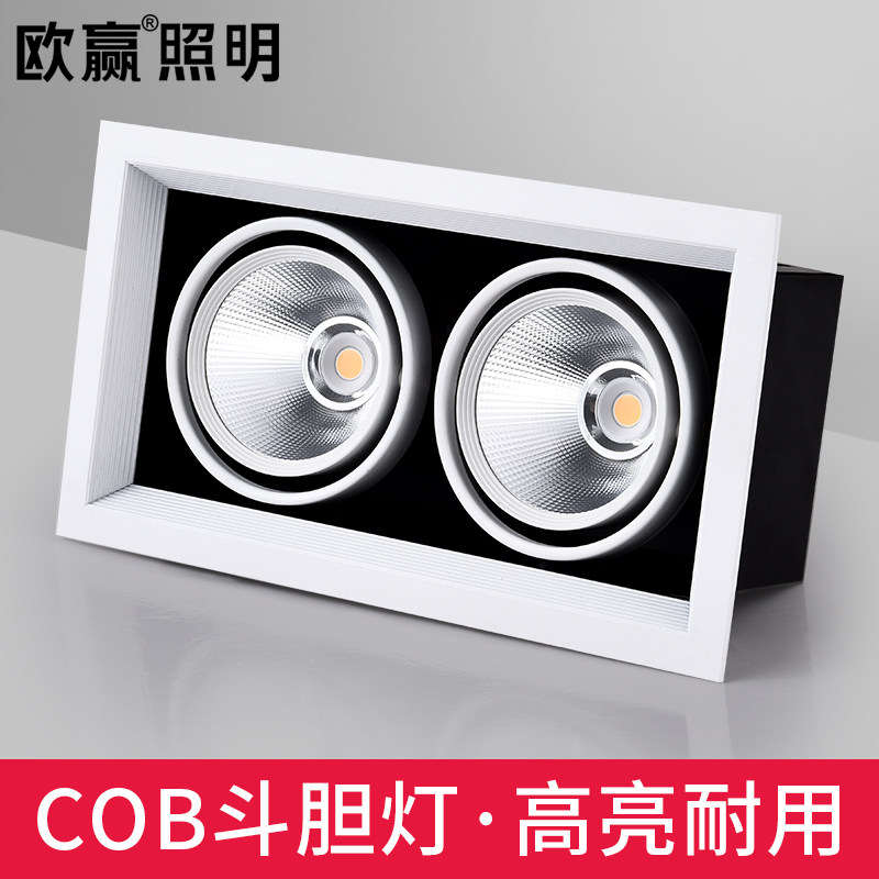 Dare lamp cob double head spot light led recessed rectangular downlight grille ceiling 20×10 bean bile lamp single head