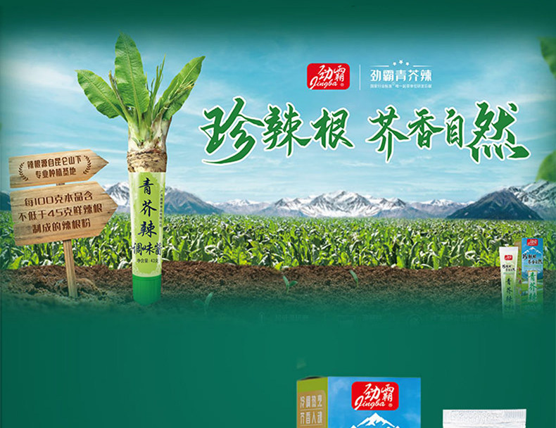 安享好物 安享D级芥末-劲霸经典青芥辣 企标 
