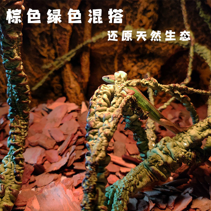 热带雨林的微缩世界🌿 - RS爬虫箱造景树藤假树枝-爬宠躲避-淘宝好物网