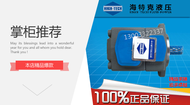 Hytech HIGH-TECH blade pump PVL3 PV2R3-60-F-1R 2R-U-10 hydraulic pump