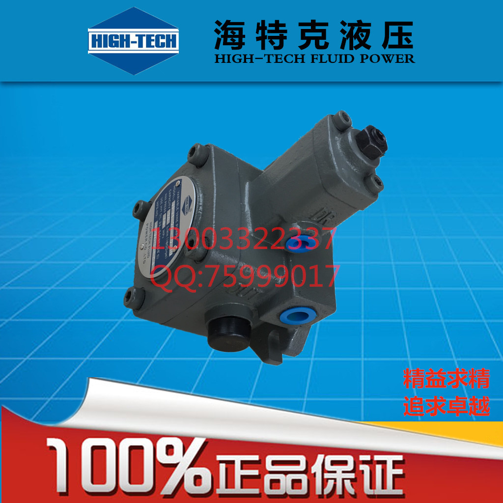 Haytek HYTEK variable vane pump VPV1-8 12 15 20-35-10 original installation HIGHH-TECH