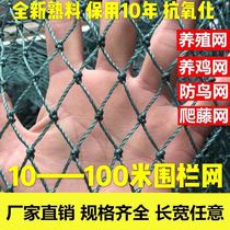 家禽养鸡网围栏鸡鸭网菜园网山鸡网防鸟网尼龙网瓜果爬藤网球场网