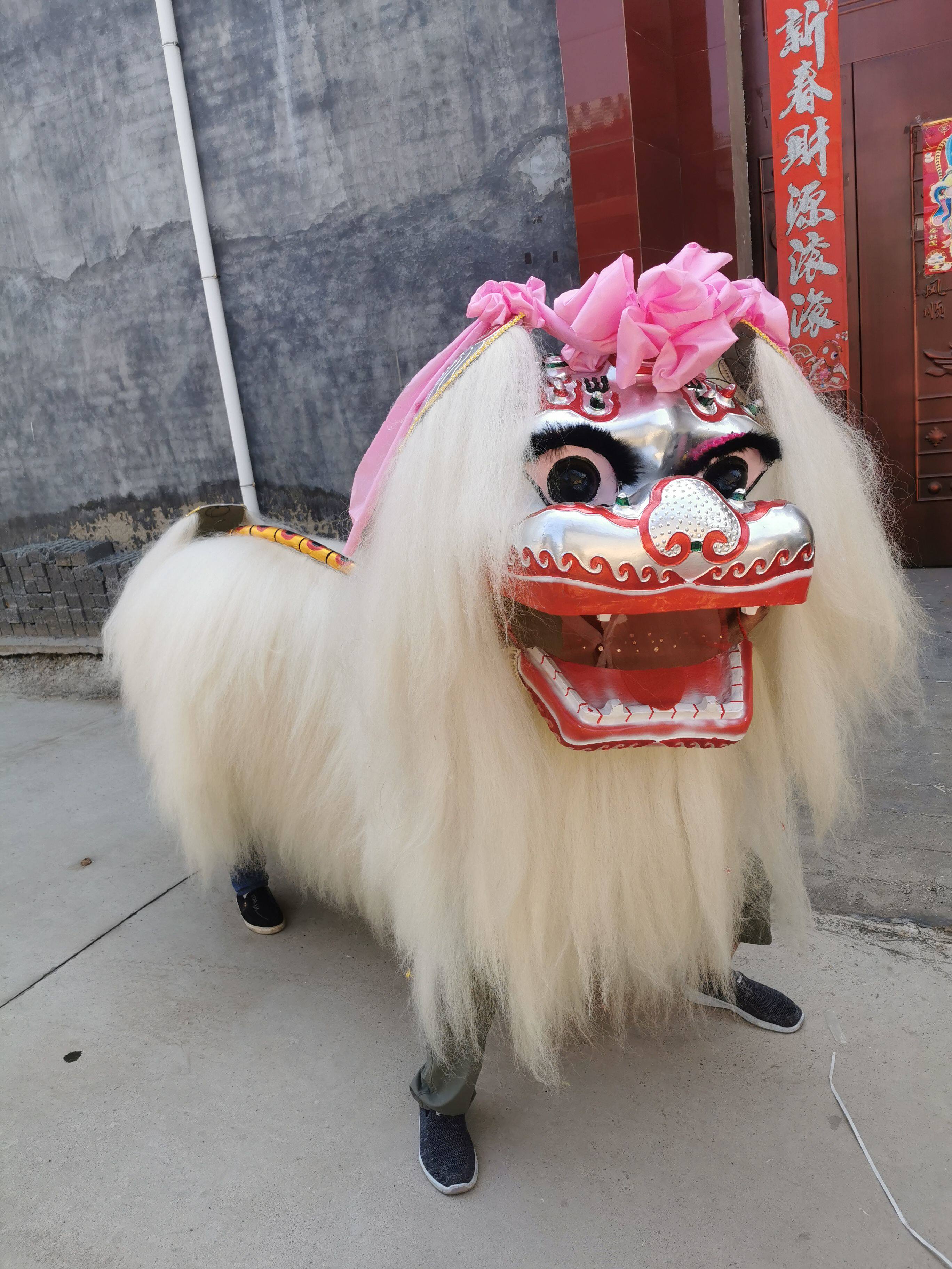 舞狮舞龙道具北狮龙狮衣服小白色牦牛双人加厚狮皮北狮成人款整套