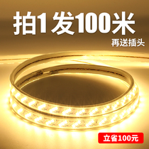 100 m whole roll led light with outdoor waterproof living room ceiling double row super bright white warm light light bar 220V