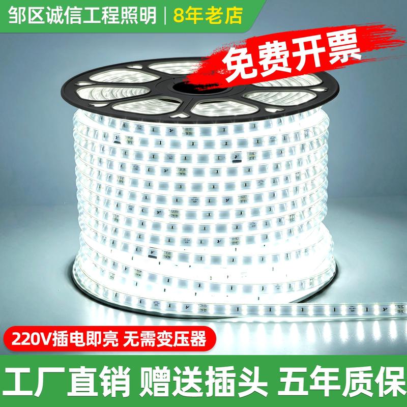 High-Voltage Waterproof Light Strip 220V Plug-In Led White Light Warm Light Super Bright for Home Decoration and Outdoor Project Lighting