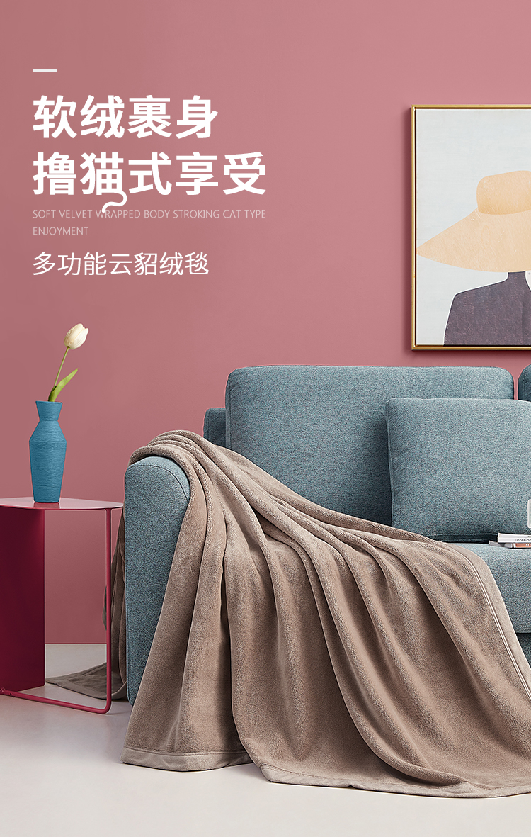 A类标准  DAPU 大朴 可机洗加厚双面云貂绒毛毯 150*200cm 图1