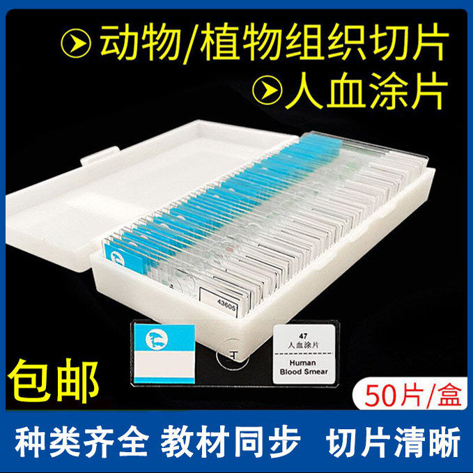 皖南人血涂片植物根尖四大组织生物玻片初高中教学全系列实验切片