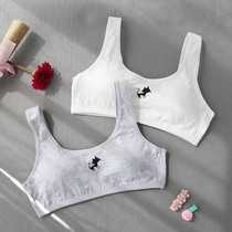 Summer thin vest cotton underwear junior high school students Sports no steel ring bra bra Development girl bra