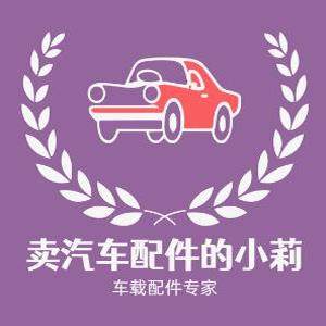 卖汽车配件的小莉