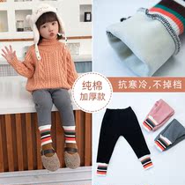 2021 autumn and winter womens leggings