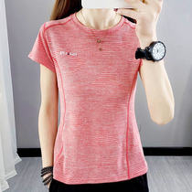 Outdoor Speed Dry Jersey Woman Summer Light Thin Elastic Outdoor Climbing Quick Dry Jersey Round Collar Breathable Sportshirt Short Sleeve T Shirt