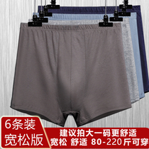  Cool general pure cotton underwear Taizhihong mens loose large size boxer shorts Lu Ming high waist breathable solid color underpants