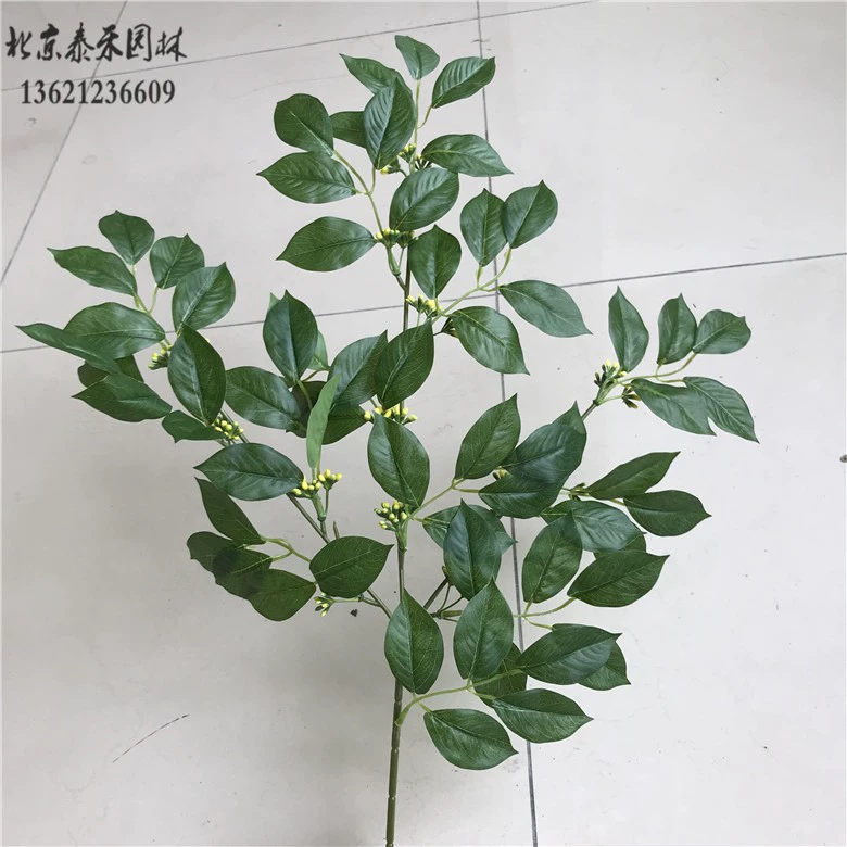 Mô phỏng lá osmanthus trang trí lá nhựa cành cây bạch đàn lá bạch đàn lá thường xanh cây bạch đàn trồng cành giả - Hoa nhân tạo / Cây / Trái cây