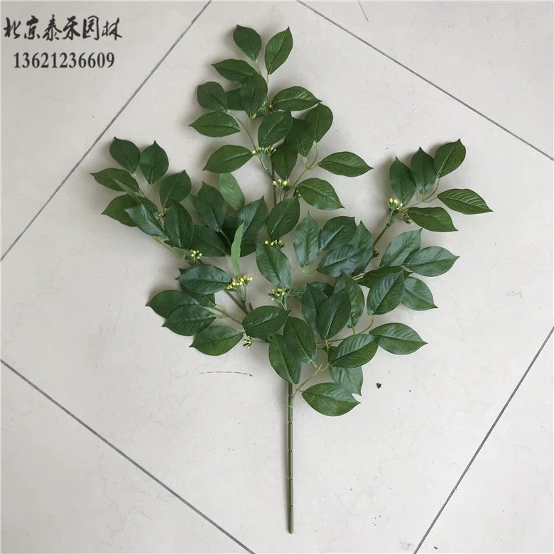 Mô phỏng lá osmanthus trang trí lá nhựa cành cây bạch đàn lá bạch đàn lá thường xanh cây bạch đàn trồng cành giả - Hoa nhân tạo / Cây / Trái cây