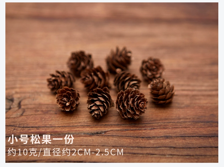 Pinecone acorn lá retro gió cổ Sensing nhiếp ảnh nhiếp ảnh ảnh đạo cụ trang trí nền trang trí đồ trang sức - Trang trí nội thất