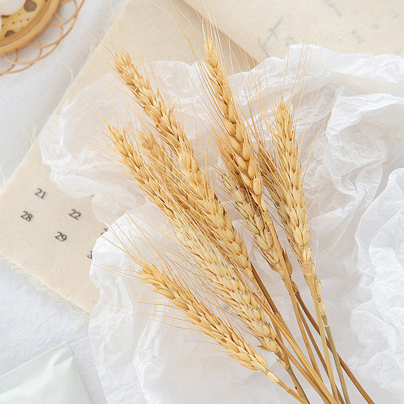 Wheat Dry Flower Taobao Food Bakery Photography shooting Prop decoration decoration
