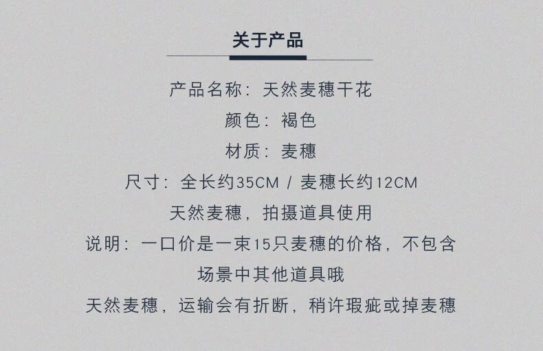 Thực phẩm Taobao thực phẩm cho người sành ăn chụp ảnh chụp ảnh chụp đạo cụ hoa trang trí đồ trang trí đồ trang sức hoa khô - Trang trí nội thất trang trí phòng khách nhà ống