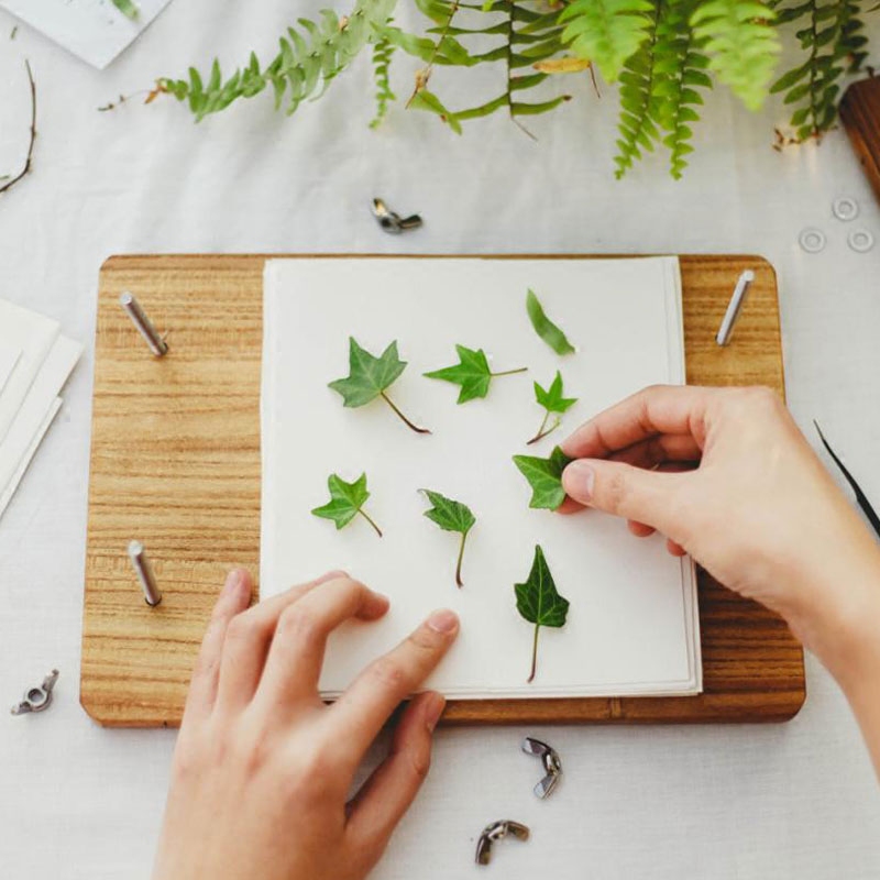 锅锅木制押花器干花压花器植物树叶制作满天星薰衣草干花标本工具