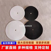 Iwata Pneumatic Diaphragm DDP-90E DPS-90E DPS-120 DDP-120B Teflon Rubber Diaphragm