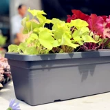 Сад Hei Titan's Garden Basin 500 Пластиковый бассейн Балкон балкон посадки цветок бассейн