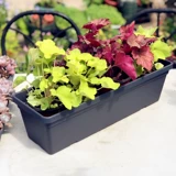 Сад Hei Titan's Garden Basin 500 Пластиковый бассейн Балкон балкон посадки цветок бассейн