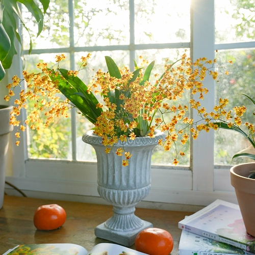 海蒂的花园 Венсин орхидея с цветами крытая орхидея Большая табличная орхидея