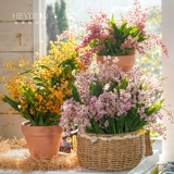 海蒂的花园 Венсин орхидея с цветами крытая орхидея Большая табличная орхидея